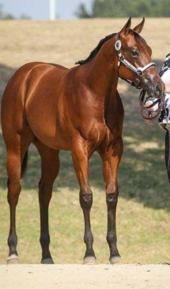 Testimonial blog 45